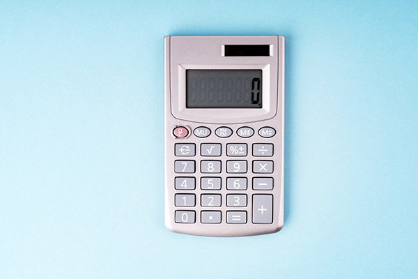 Income Estimator